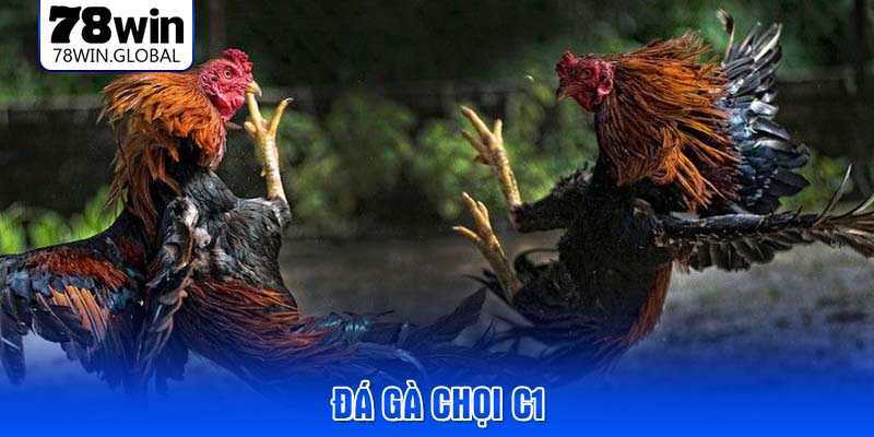 da-ga-choi-c1