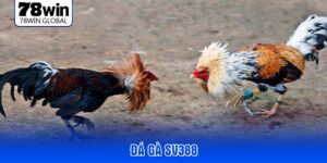 da-ga-sv388